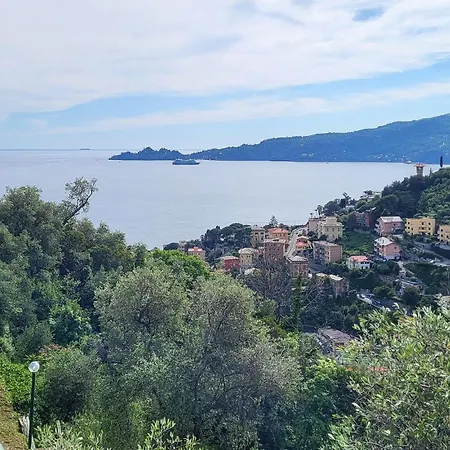 Gorgeous In With Wifi Apartment *