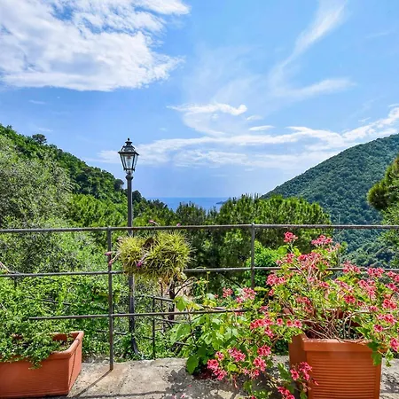 Gorgeous In With Wifi Apartment *